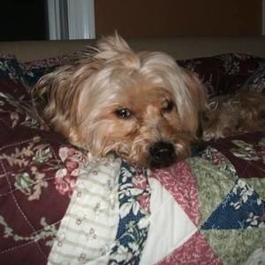 Meet your Posher, Janine